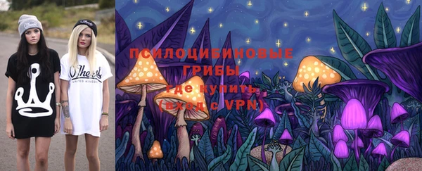 метадон Алексин
