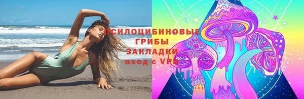 метадон Алексин