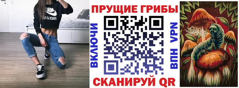 Галлюциногенные грибы мухоморы  Новая Ладога 