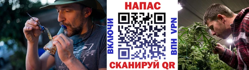 Канабис сатива  где купить наркоту  Новая Ладога 